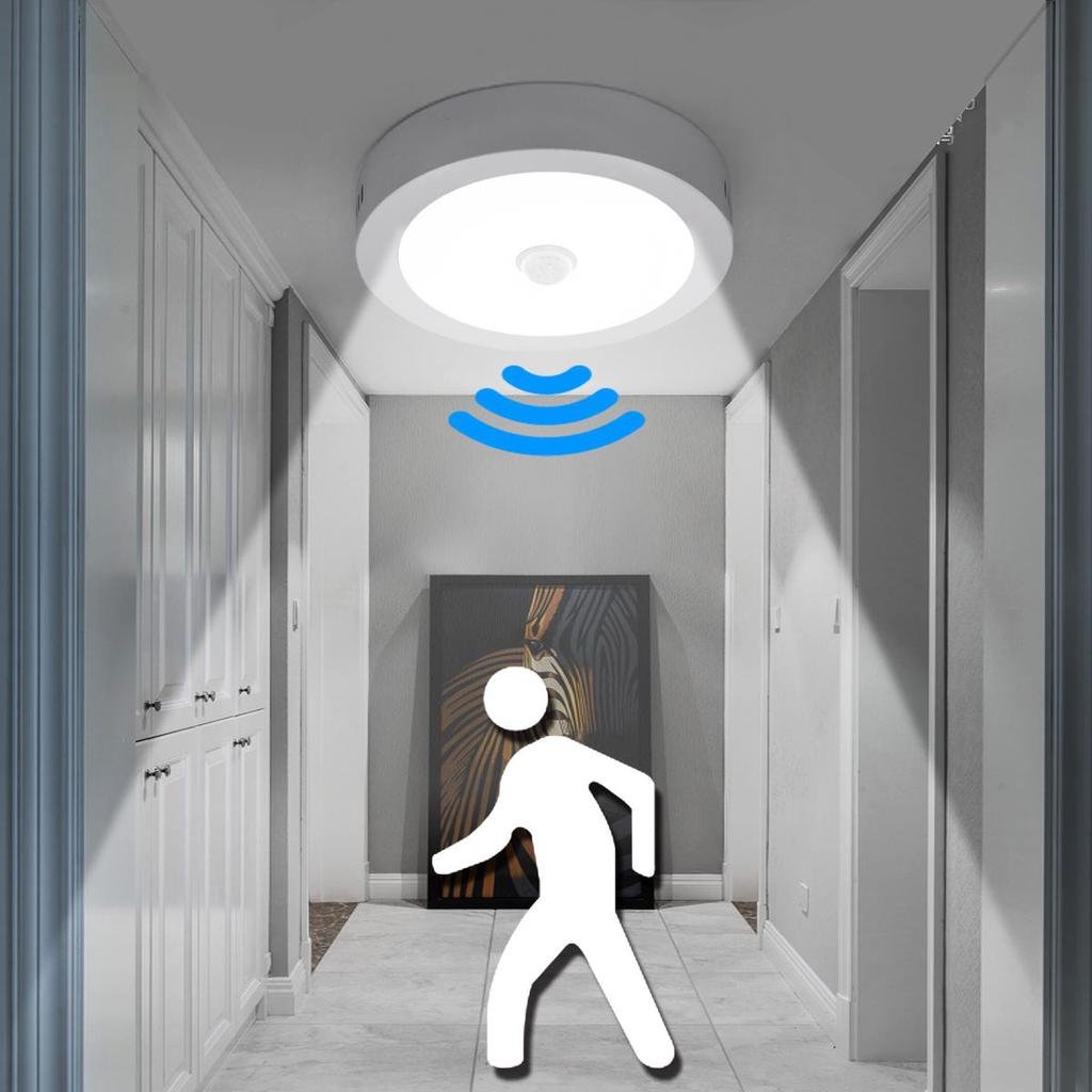 Motion sensor lighting on a hallway ceiling