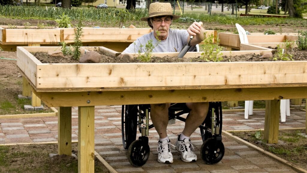 Elevated Garden Beds for Accessible Gardening