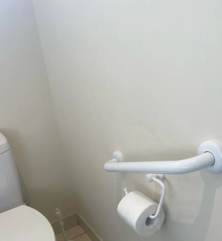 After Toilet Rail